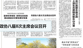 樂山日報3月23日報道：《推動“做鋼鐵”向“做材料”轉(zhuǎn)變，德勝釩鈦——轉(zhuǎn)型升級邁向高端》
