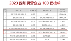 連續(xù)六年！德勝集團(tuán)上榜“四川民營企業(yè)100強(qiáng)”